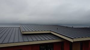 Best Roof Coating and Sealing  in Mountain Lake, MN